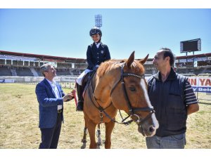 Binicilik: Engel Atlama Anadolu Ligi