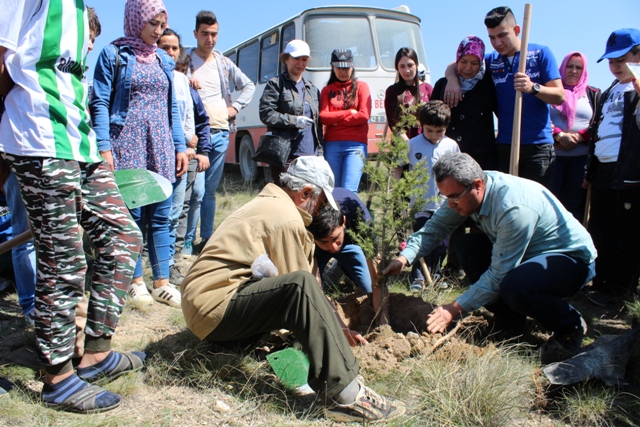 Yunak'ta 2 bin fidan dikildi