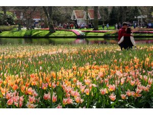 Hollanda'da lale zamanı