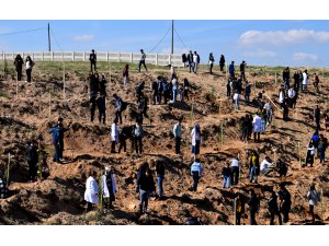 10 bin fidan öğrencilerle büyüyecek