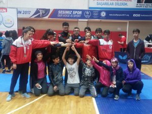 Taekwondoda 7 madalya