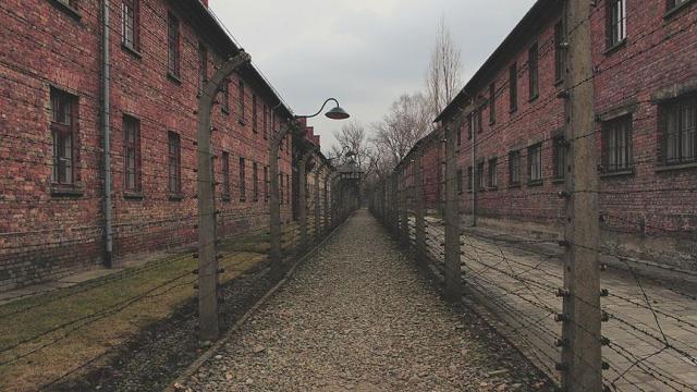 Nazilerin 'ölüm' programında 'Asperger' izi