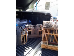 Kınalı keklik tuzakçılarına 56 bin 552 lira ceza