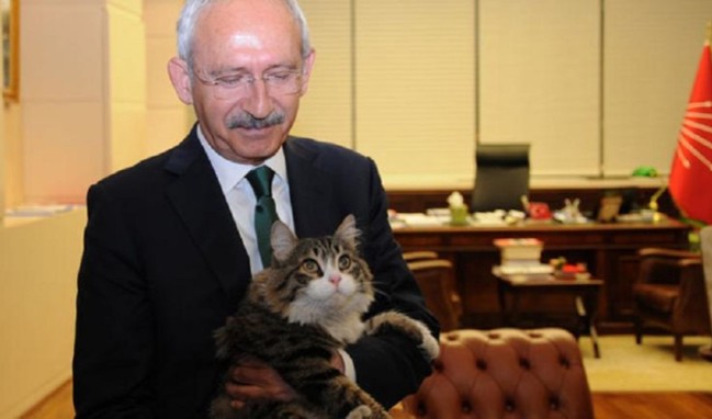 Kılıçdaroğlu'nun tarifine en uygun aday bulundu!