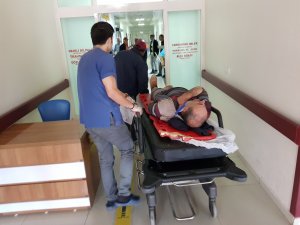 Uygarlığın belleği kütüphaneler