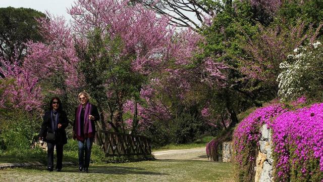 Hava sıcaklıkları hissedilir derecede artacak