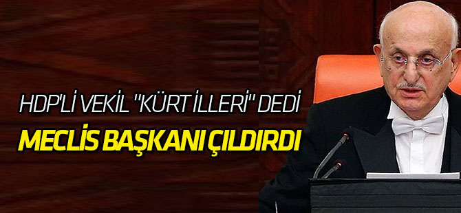 HDP'li Vekil "Kürt İlleri" Dedi, Meclis Başkanı Çıldırdı: Sizi Dışarı Atarım