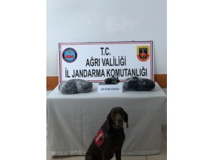 Ağrı'da uyuşturucu operasyonu