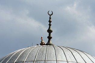 Leyleğin imdadına itfaiye yetişti