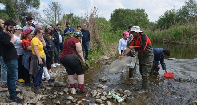 İznik gölü tehdit altında