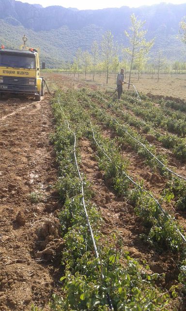 Seydişehir'de trafiği rahatlatacak çalışma