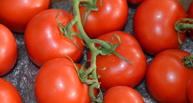 İhracatçıdan üreticiye "ilaç kalıntısı" uyarısı