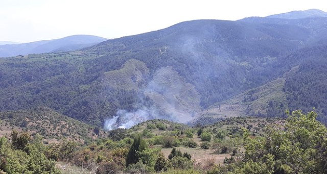 Bilecik’teki orman yangınında 6 dönüm alan hasar gördü