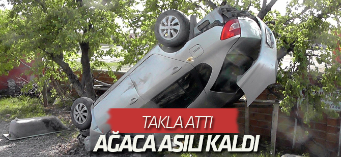 Takla atan otomobil ağaca asılı kaldı