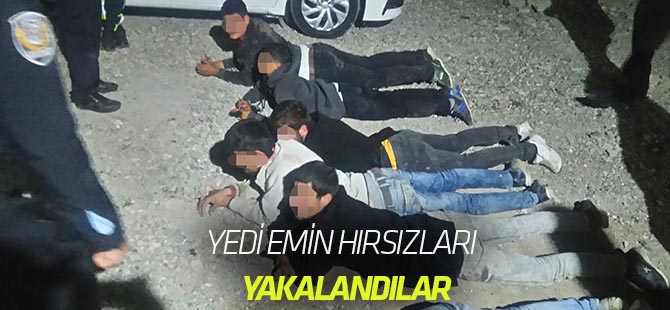 Yediemin hırsızları yakalandı