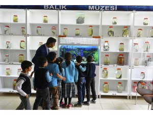 Tarım ve hayvanlarla içe içe eğitim