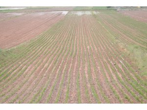 KİYÜ'de cübbe töreni düzenlendi