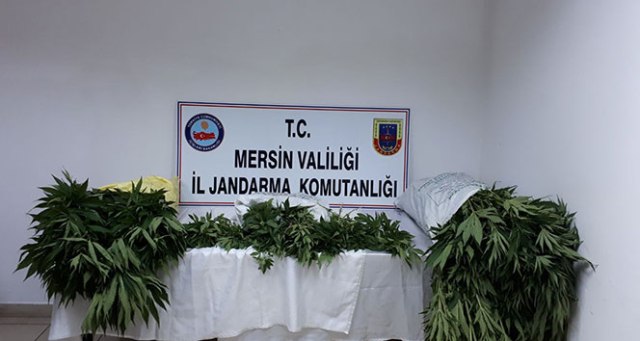 Mersin'de uyuşturucu operasyonu: 3 kişi yakalandı