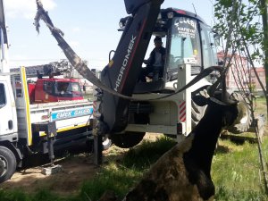 Kulu'da su kuyusuna düşen inek telef oldu