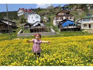 Eğriçimen Yaylası'nda ilkbahar güzelliği