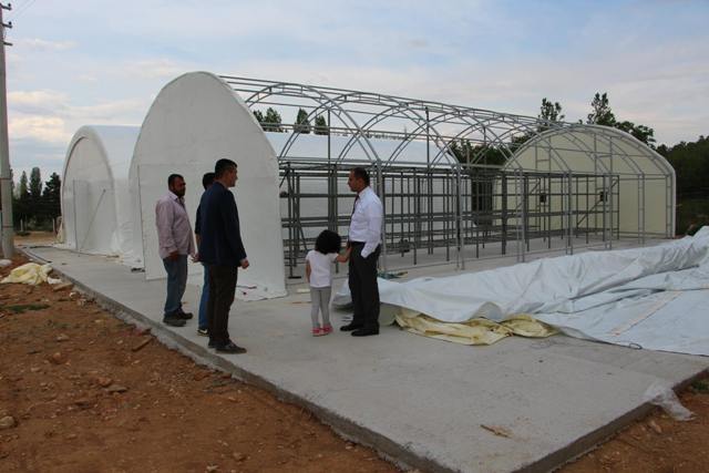 Doğanhisar'da istiridye mantarı yetiştirme projesi