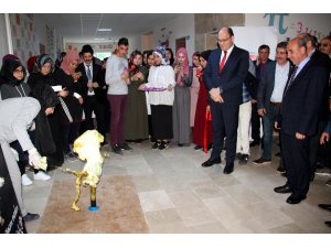 Suşehri'nde TÜBİTAK 4006 Bilim Fuarı açıldı