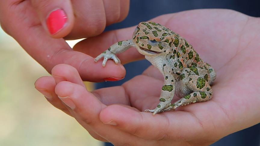 Öğrenciler dersleri doğada görüyor
