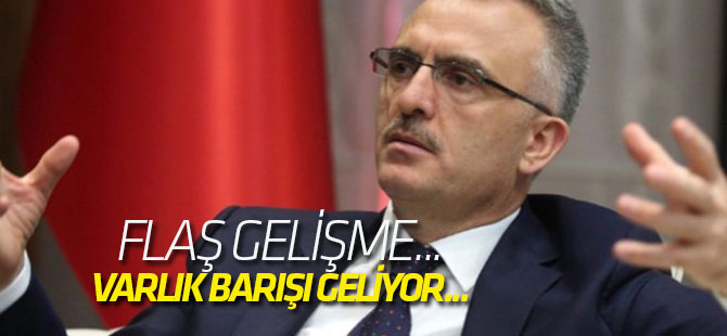 Bakan Ağbal açıkladı! Varlık barışı geliyor...