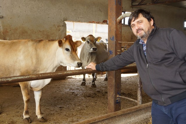 Hacıince: Et fiyatında istikrar için yerli üretime destek zorunludur
