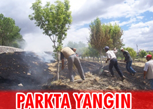 Alitepe Parkı'nda yangın