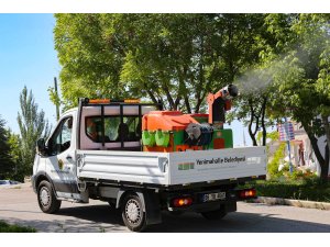 Yenimahalle'de ilaçlama çalışmaları