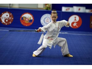 17. Avrupa Wushu Şampiyonası