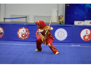 17. Avrupa Wushu Şampiyonası