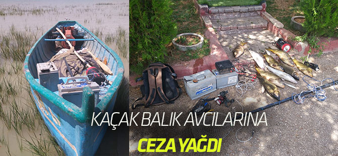 Elektroşokla balık avına 10 bin 644 lira ceza