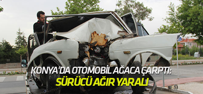 Konya'da otomobil ağaca çarptı: Sürücü ağır yaralı