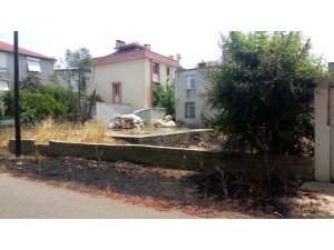 Yılan korkusu yangın çıkarttı