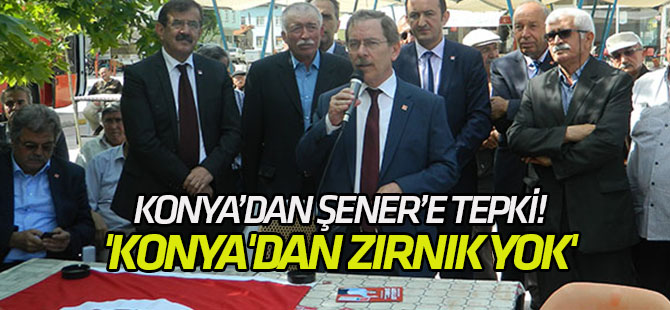 Şener, Konya'yı da hiç sevmezmiş!