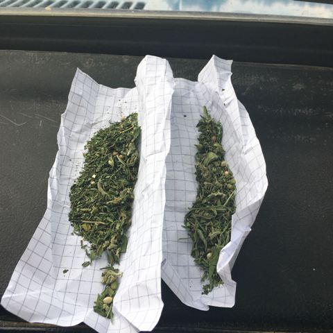 Ilgın'da uyuşturucu operasyonu