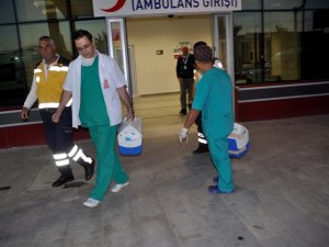Yüksekten düşen kişinin organları üç hastaya umut oldu