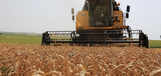 Konya'da hububat fiyatları