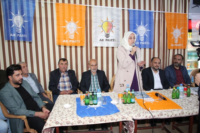 Samancı çalışmalara devam ediyor