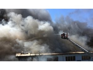 Kocaeli'nin plajları Ege ve Akdeniz'i aratmıyor