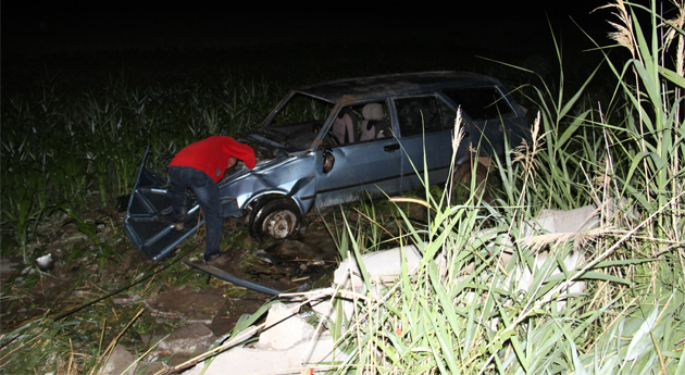 Konya'da otomobil domuza çarptı: 5 yaralı