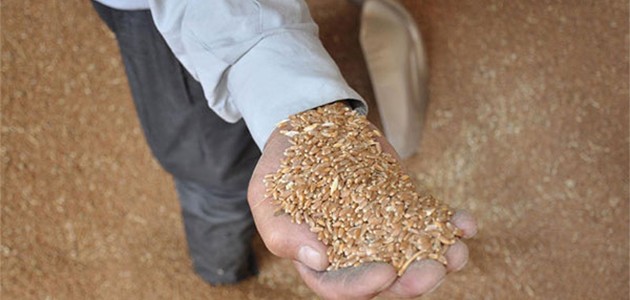 Konya'da hububat fiyatları