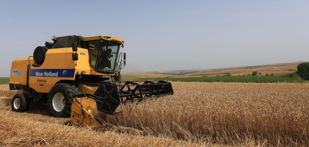 Konya'da hububat fiyatları
