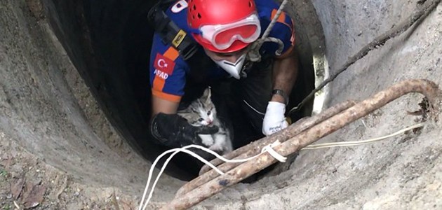 Konya'da kuyuya düşen yavru kedi kurtarıldı