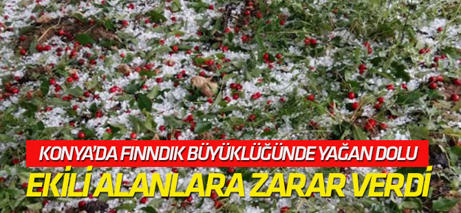 Beyşehir'de dolu ekili alanlara zarar verdi