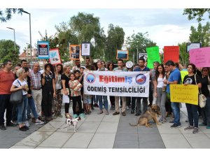 İzmir'de hayvanlara yönelik şiddete tepki