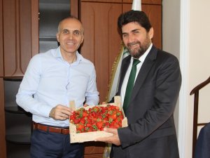 Derbent'te gölet sayısı 9'a çıkıyor