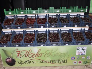 7. Akşehir Kirazı Kültür ve Sanat Festivali